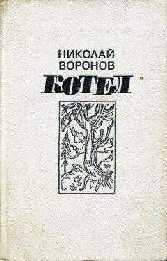 Николай Воронов - Котел. Книга первая