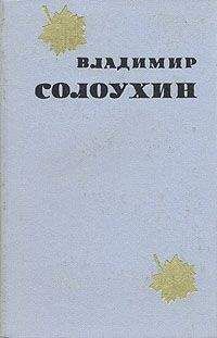 Владимир Солоухин - Варшавские этюды
