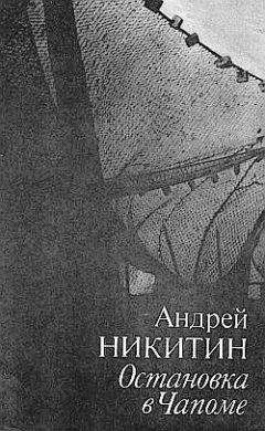 Андрей Никитин - Остановка в Чапоме
