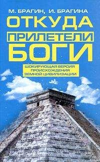 Михаил Брагин - Откуда прилетели боги