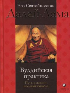 Тензин Гьяцо - Буддийская практика: путь к жизни полной смысла