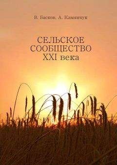 Александр Камянчук - Сельское сообщество XXI века: Устойчивость развития.