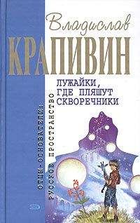 Владислав Крапивин - Лужайки, где пляшут скворечники
