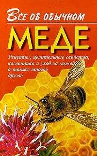 Иван Дубровин - Все об обычном меде