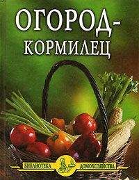 Иван Дубровин - Огород – кормилец