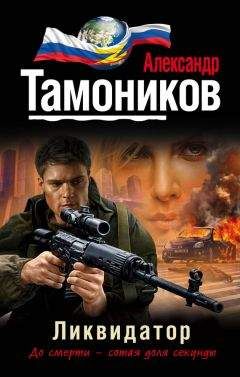 Александр Тамоников - Ликвидатор