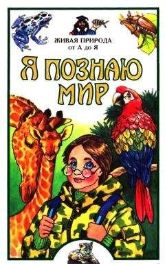 Е. Васильева - Я познаю мир. Живая природа от А до Я