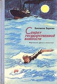 Константин Бадигин - Секрет государственной важности