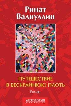 Ринат Валиуллин - Путешествие в бескрайнюю плоть