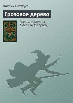 Патрик Ротфусс - Грозовое дерево
