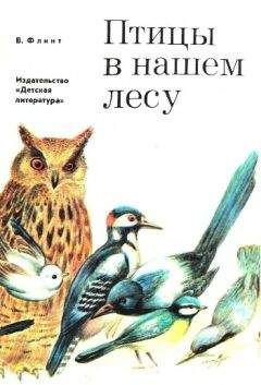 Владимир Флинт - Птицы в нашем лесу