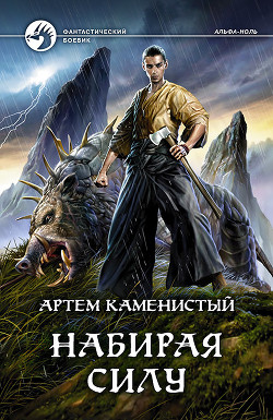 Набирая силу - Каменистый Артем