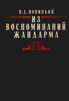 Василий Новицкий - Из воспоминаний жандарма